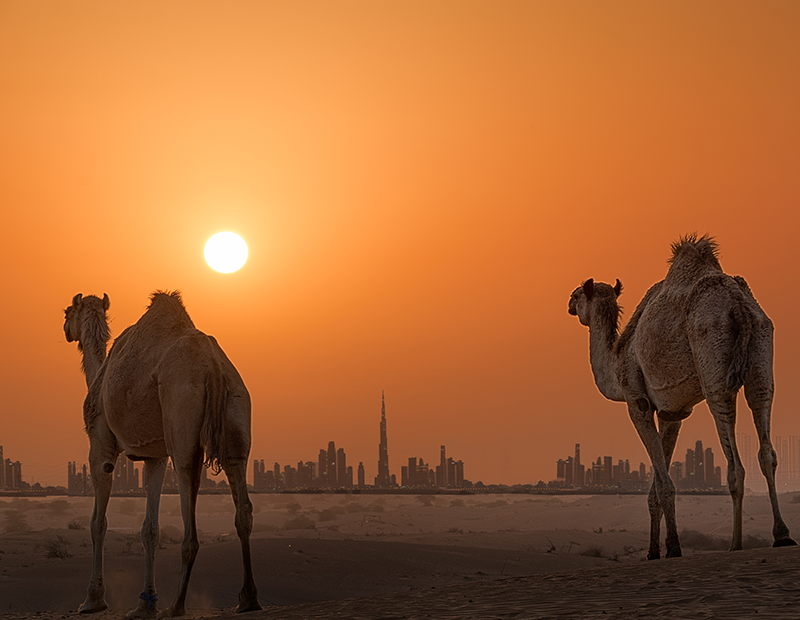 Dubai Skyline 3
